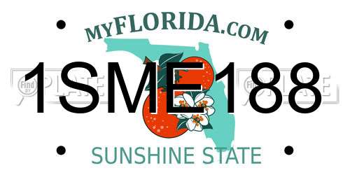 1SME188 Florida License Plate