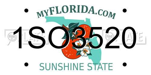1SO3520 Florida License Plate