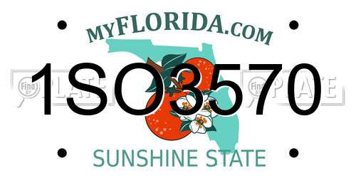 1SO3570 Florida License Plate