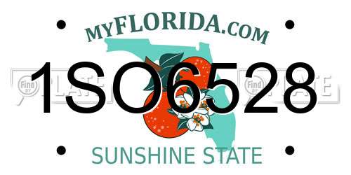 1SO6528 Florida License Plate