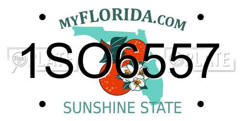1SO6557 Florida License Plate