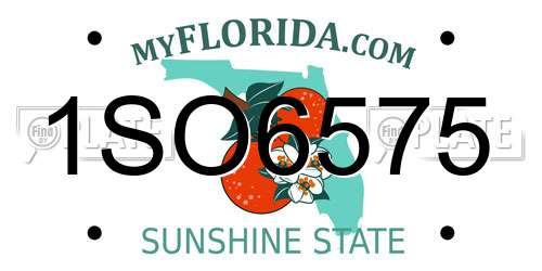 1SO6575 Florida License Plate