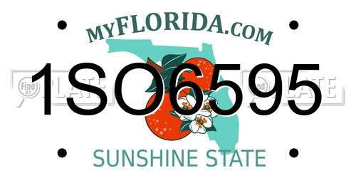 1SO6595 Florida License Plate
