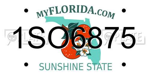 1SO6875 Florida License Plate