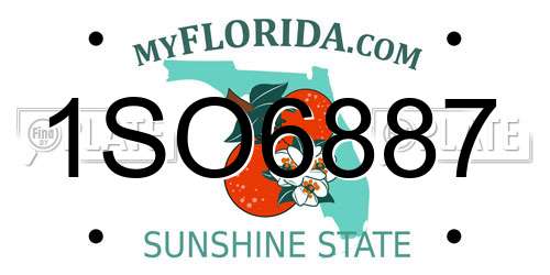 1SO6887 Florida License Plate