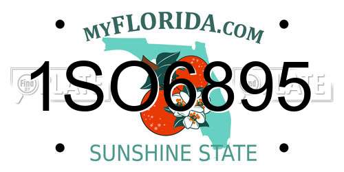 1SO6895 Florida License Plate