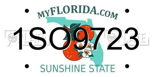 1SO9723 Florida License Plate