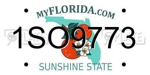 1SO9773 Florida License Plate