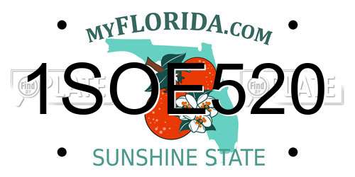 1SOE520 Florida License Plate