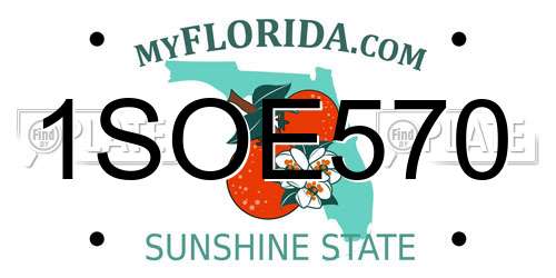 1SOE570 Florida License Plate