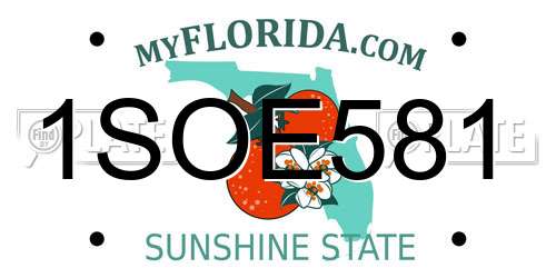 1SOE581 Florida License Plate
