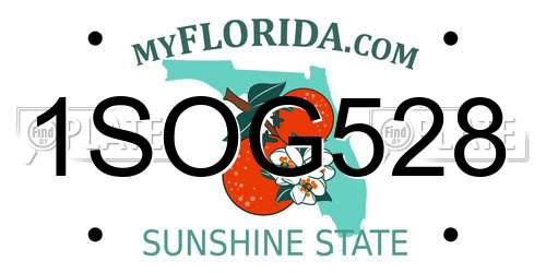 1SOG528 Florida License Plate
