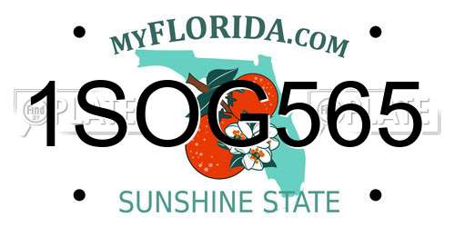 1SOG565 Florida License Plate