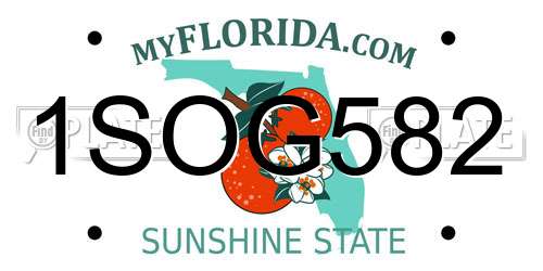 1SOG582 Florida License Plate