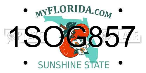 1SOG857 Florida License Plate