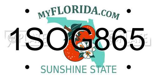 1SOG865 Florida License Plate