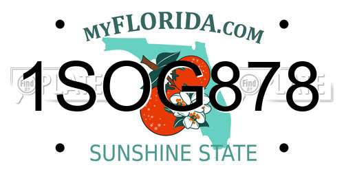 1SOG878 Florida License Plate