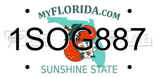 1SOG887 Florida License Plate