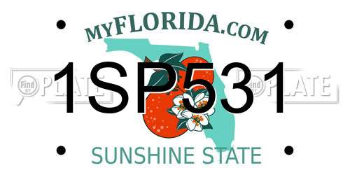 1SP531 Florida License Plate