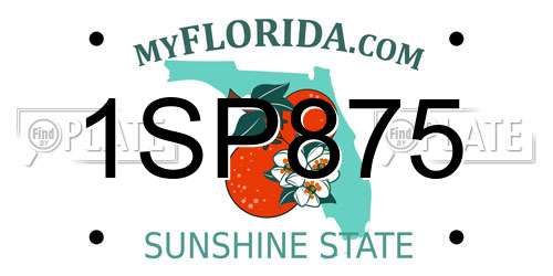 1SP875 Florida License Plate