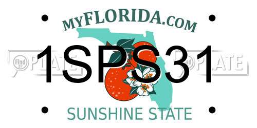 1SPS31 Florida License Plate