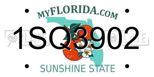 1SQ3902 Florida License Plate
