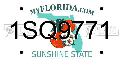 1SQ9771 Florida License Plate