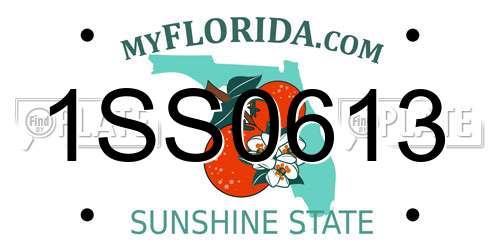 1SS0613 Florida License Plate