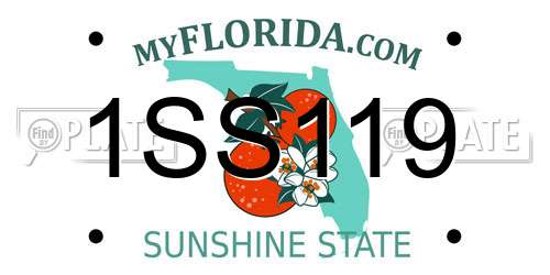 1SS119 Florida License Plate