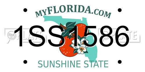 1SS1586 Florida License Plate