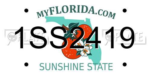 1SS2419 Florida License Plate