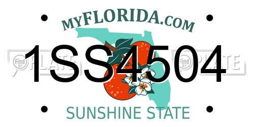 1SS4504 Florida License Plate