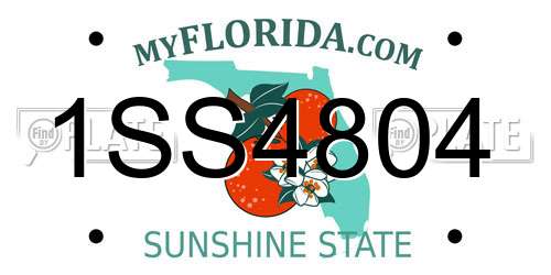 1SS4804 Florida License Plate