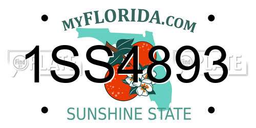 1SS4893 Florida License Plate