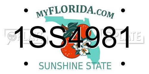 1SS4981 Florida License Plate