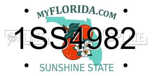 1SS4982 Florida License Plate