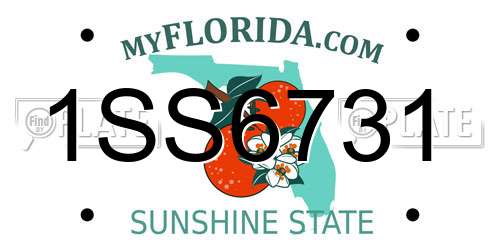 1SS6731 Florida License Plate