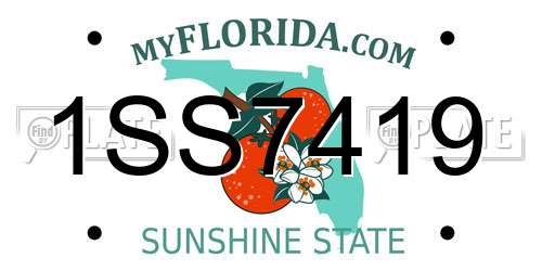 1SS7419 Florida License Plate