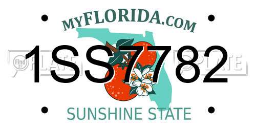 1SS7782 Florida License Plate