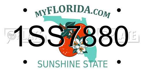 1SS7880 Florida License Plate