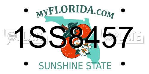 1SS8457 Florida License Plate
