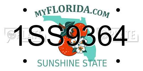 1SS9364 Florida License Plate