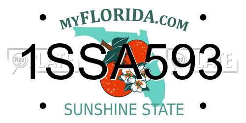 1SSA593 Florida License Plate