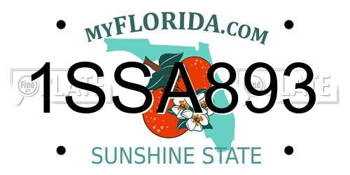 1SSA893 Florida License Plate