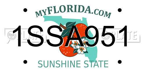 1SSA951 Florida License Plate