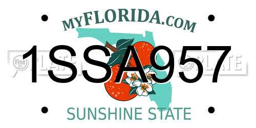 1SSA957 Florida License Plate