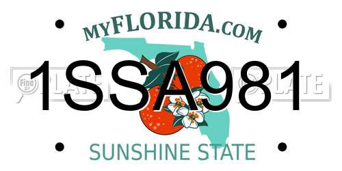 1SSA981 Florida License Plate