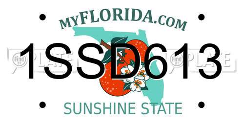 1SSD613 Florida License Plate