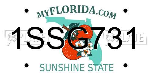 1SSG731 Florida License Plate
