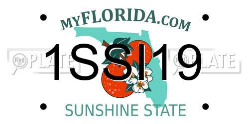 1SSI19 Florida License Plate